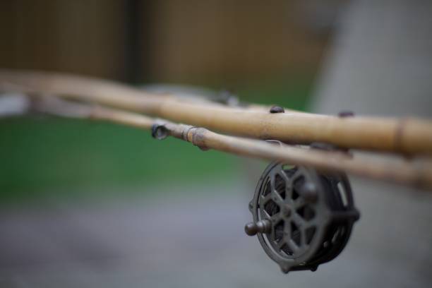 How to Make a Fishing Rod: With Wooden, PVC & Bamboo Cane